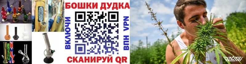 Купить где  Подпорожье  Канабис семена 
